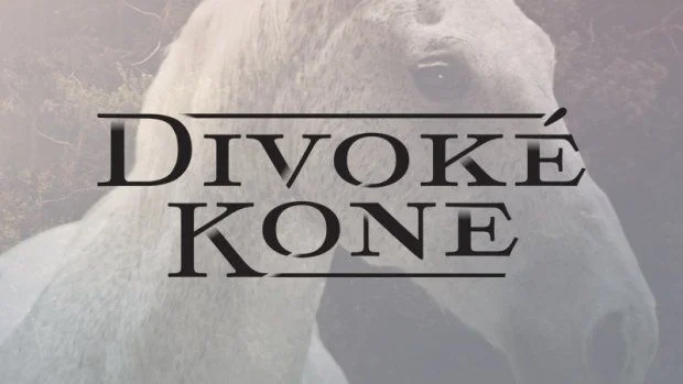 A múlt árnyékában - Divoké kone - 1. évad (2014) poszter
