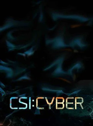 CSI: Cyber helyszínelők - 2. évad (2016) poszter