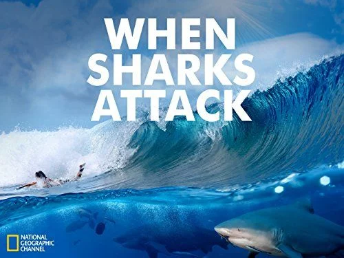 When Sharks Attack - 5. évad (2018) poszter