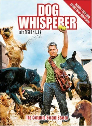 Dog Whisperer with Cesar Millan - 6. évad (2016) poszter