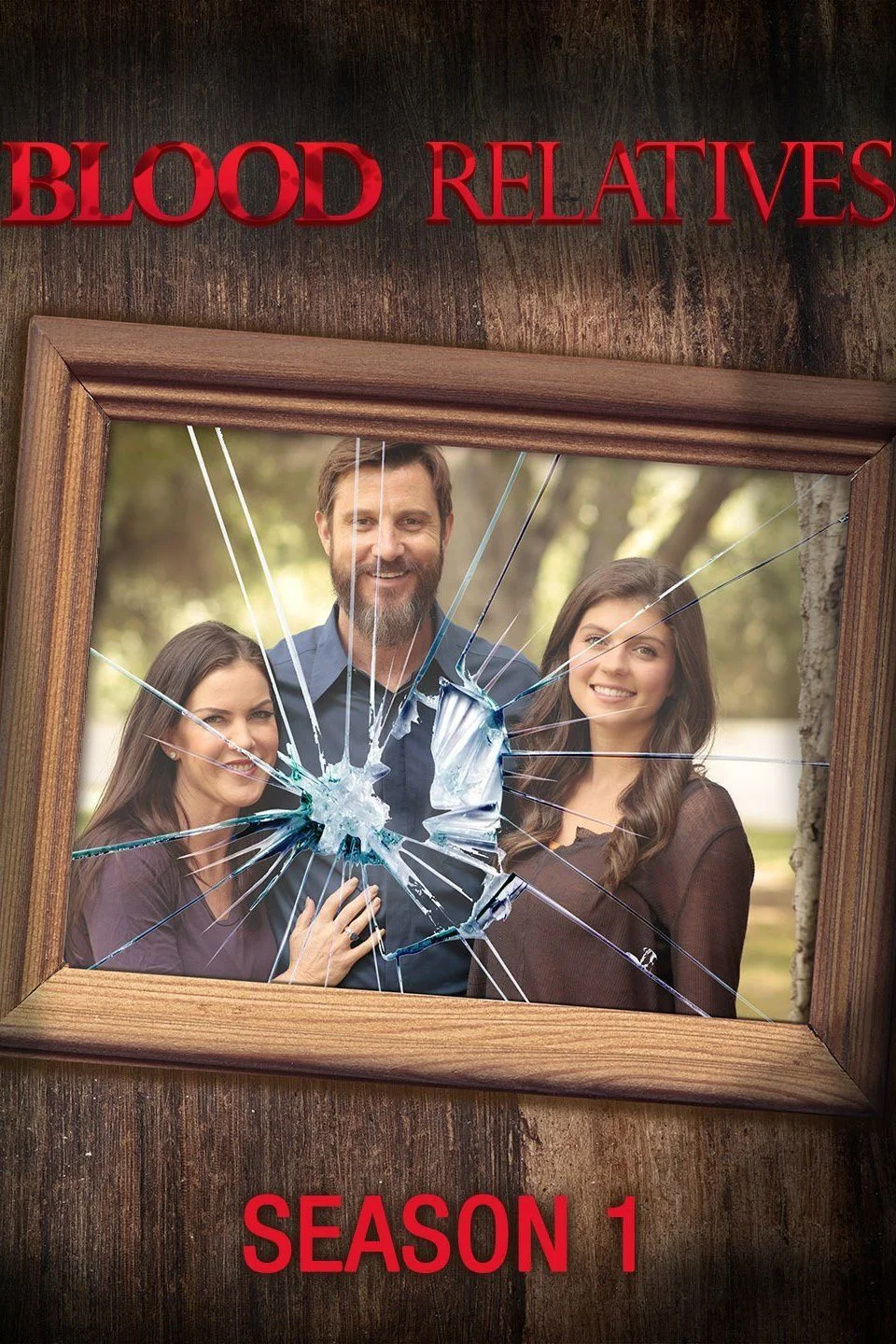 Bűntény a családban - 1. évad (2017) poszter