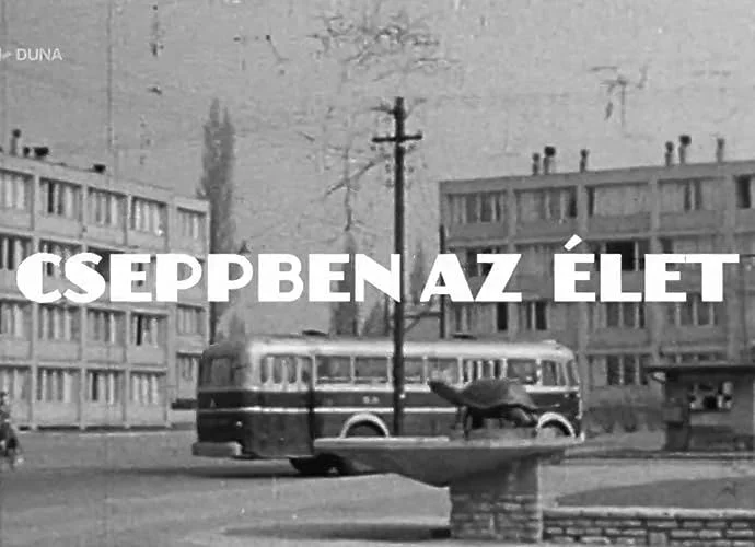 Cseppben az élet - 1. évad (2019) poszter