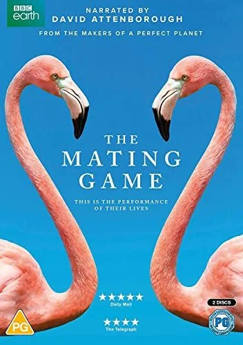 The Mating Game - 1. évad (2021) poszter