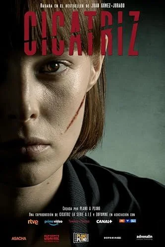 A sebhelyes lány - 1. évad (2024) poszter