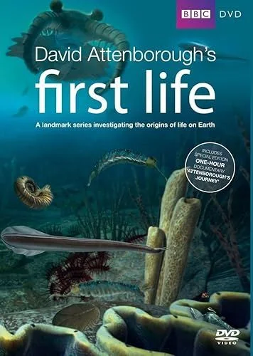 Az élet keletkezése - 1. évad (2010) poszter