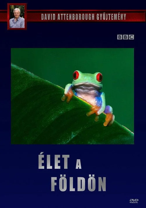 Élet a Földön - 1. évad (1979) poszter