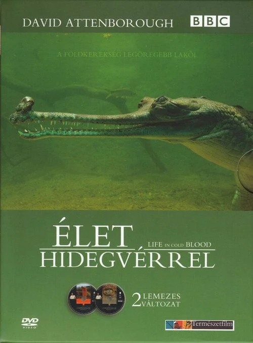 Élet hidegvérrel - 1. évad (2008) poszter