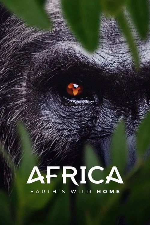 Afrika: A Föld vad otthona - 1. évad (2026) poszter