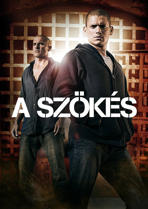 A szökés - 5. évad (2017) poszter