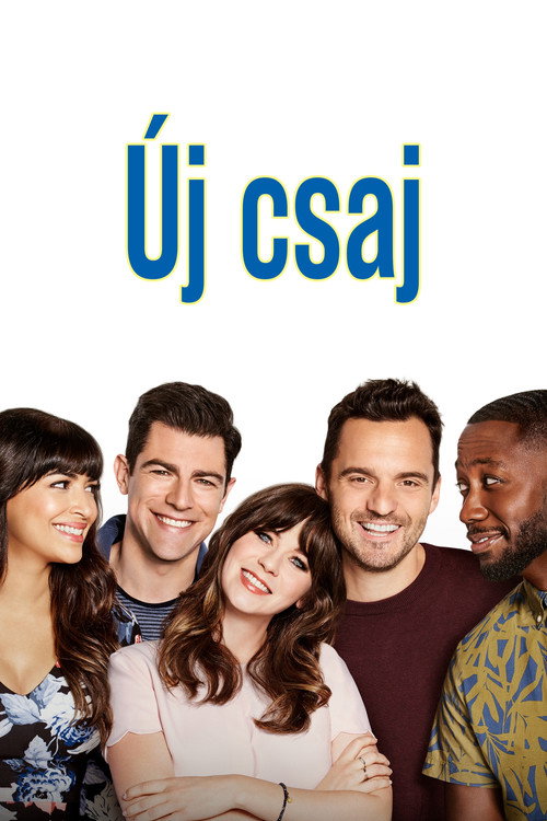 Új csaj - 1. évad (2011) poszter