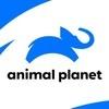 Animal Planet logó